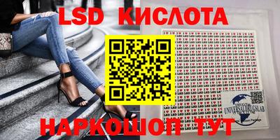 ГАЛЛЮЦИНОГЕННЫЕ ГРИБЫ Заволжье