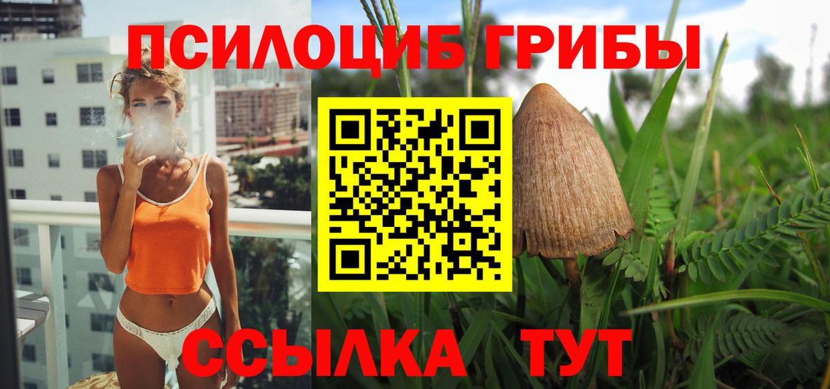 Галлюциногенные грибы GOLDEN TEACHER  Псилоцибиновые грибы Psilocybine cubensis  Георгиевск  Вход с VPN 