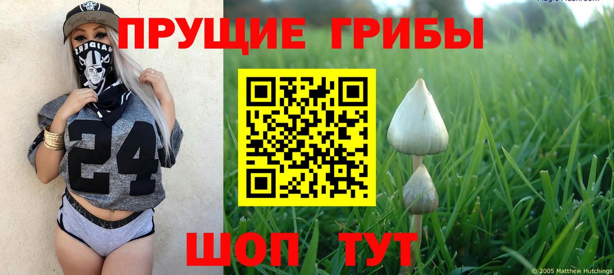 Галлюциногенные грибы мицелий Георгиевск