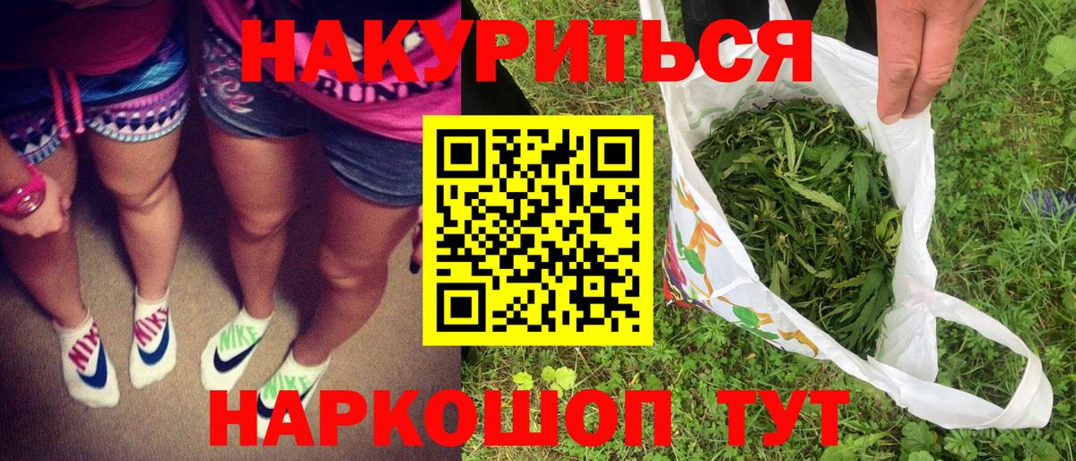 Каннабис планчик Георгиевск